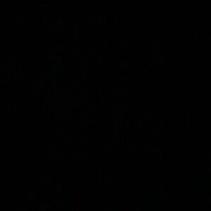 Meet your Posher, Ella